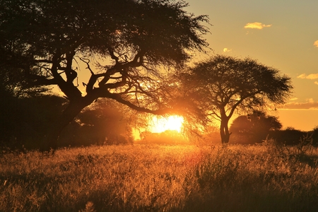 Sunset - Natural Beauty of Color and Harmonyの写真素材