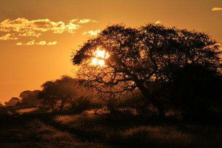 Sunset - Nature and Harmony Marriage of Color and Beautyの写真素材