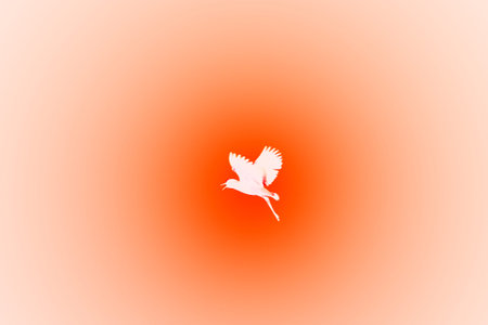 Plover Flight - Artistic Vector - Bird Flyingの写真素材