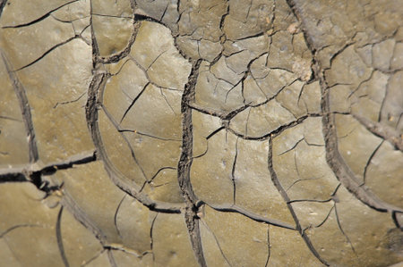Parched Earth - Nature Background - Clay Cracks