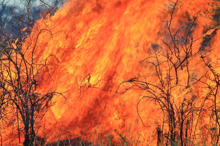 Fire and Flame Background - Dangerous Heat
