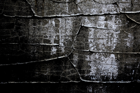 Abstract Art and Texture Background - Rustic Paint and Wallの写真素材