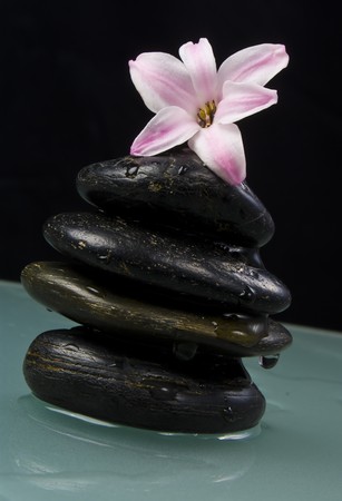 Zen stones and flowerの写真素材