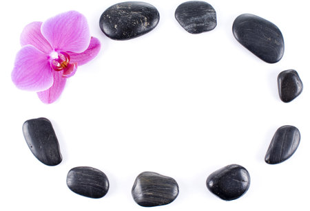 pink orchid and stone frame
