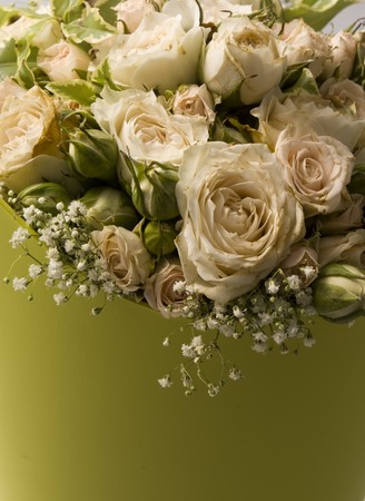 Roses on green supportの写真素材