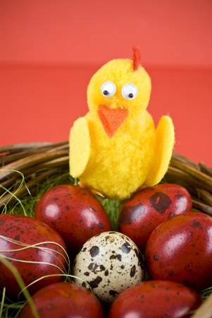 Easter eggs and chicken の写真素材