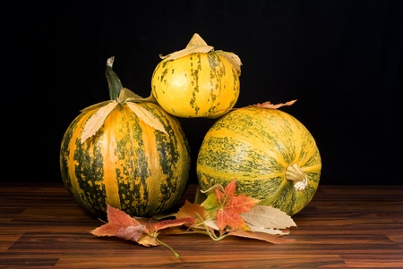 pumpkins in black, autumn background の写真素材