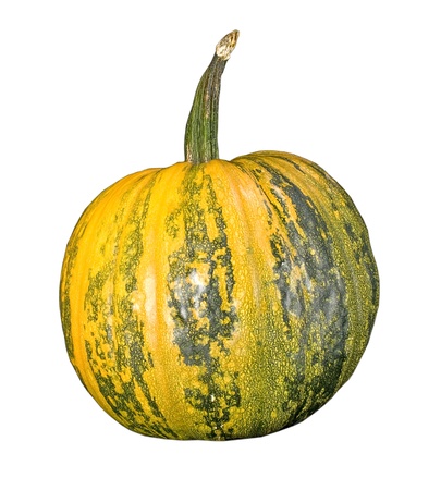 pumpkin isolated on whiteの写真素材