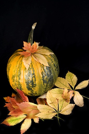 pumpkins in black, autumn background の写真素材