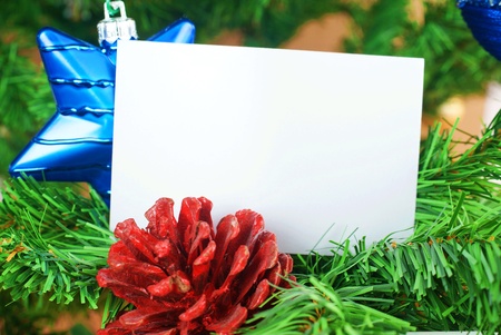Blue star and cone on christmas tree の写真素材