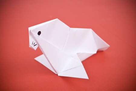 sea-dog out of paper on a red background on の写真素材