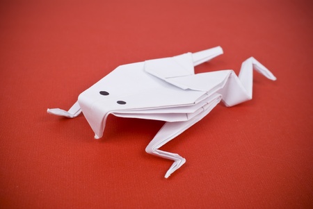 Frog out of paper on a red background の写真素材