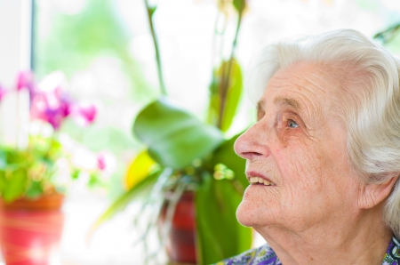 Happy old gray-haired woman の写真素材