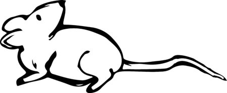 Hand sketch illustration of rat hand drawn mouseのイラスト素材