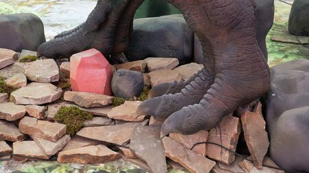 Dinosaur skeleton paws close up photo in museumのeditorial素材