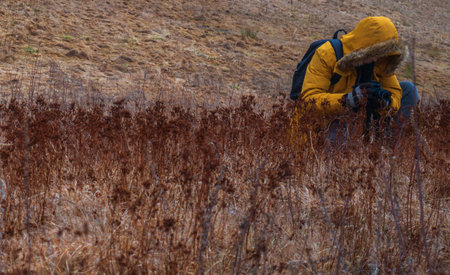 The photographer in the field shoots grass and unusual flowers. Red yellow style. An orange autumn field filled with withers, dead flowers. Photographer in a yellow jacket with a backpack.の写真素材