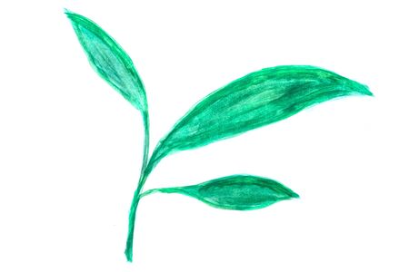 Drawing a flower gouache. A simple element containing leaves, petals, bud. Watercolor pattern with a brush.の写真素材