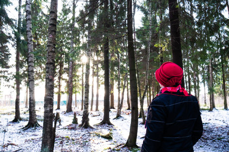 A beautiful woman in a red hat against a large dense forest. The coniferous green winter forest...