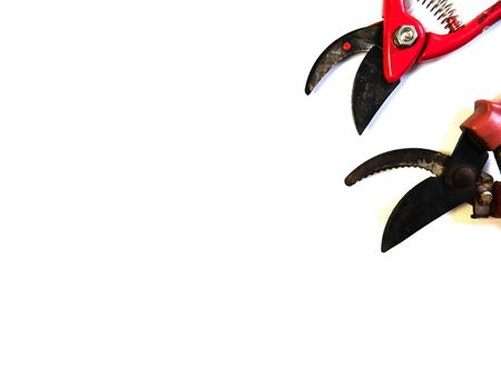 The secateur on a white background. Isolated garden scissors. Nippers. Gardening and caring for plants and trees.の写真素材