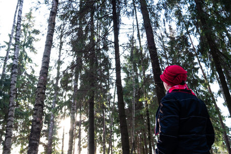A beautiful woman in a red hat against a large dense forest. The coniferous green winter forest...