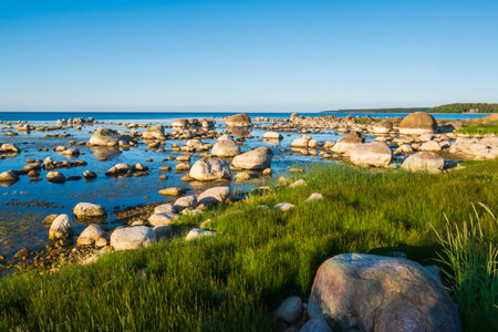 A stone bank, all strewn with many small and large stones. Beautiful ocean coast with myriad stones.
