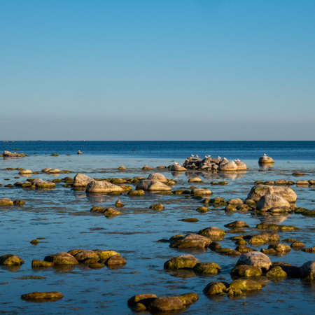 Beautiful coastline filled with small stones mixed with grass. Bright sunny morning on the ocean...