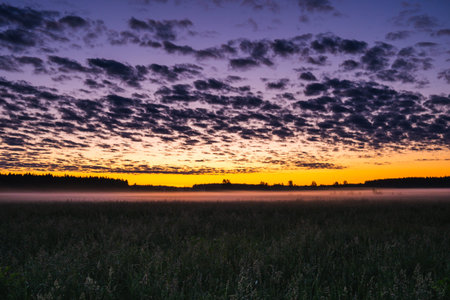 A beautiful sunset in the field, white mist spreads across the field. Orange sunset in the...