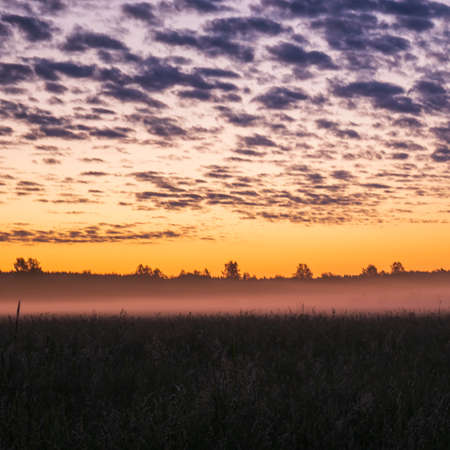 A beautiful sunset in the field, white mist spreads across the field. Orange sunset in the background of the forest.の写真素材