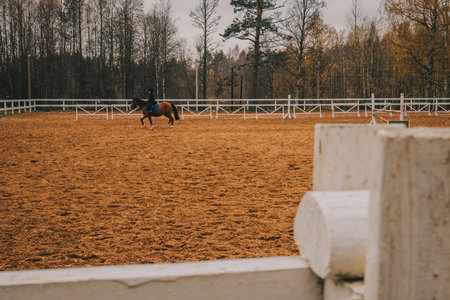 Children ride horses on an open racetrack. A horse in a paddock, beautiful autumn colors.