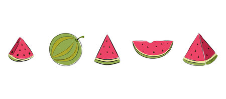 Various pieces of watermelon, drawn by hand. watermelon drawn by hand. Vector eps illustration