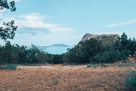 Mountains untouched by man. Large mountains with trees and bushes.の写真素材