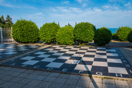 Huge chess figures on floor outdoor. High quality photoの写真素材