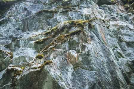 Moss on a rock face. Relief and texture of stone with patterns and moss. Stone natural background.Mountain flora. Detailed natural background. high quality photoの写真素材