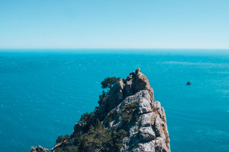 A lonely tree on top of a cliff, overlooking the blue sea. High quality vertical photo.の写真素材