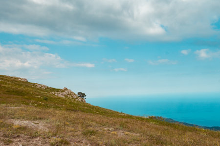 A lonely tree on top of a mountain. A tree against the background of a beautiful blue sky and mountains.の写真素材