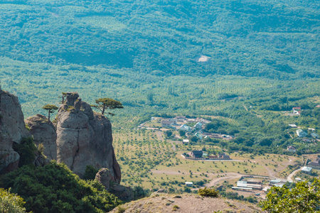 A lonely tree on top of a mountain. A tree against the background of a beautiful blue sky and...