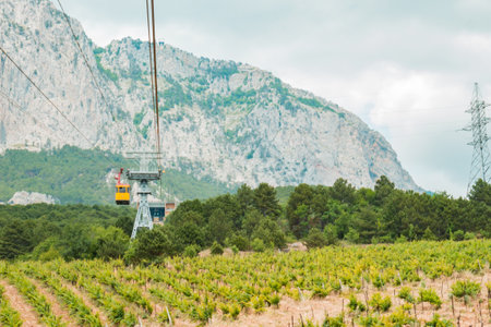 The yellow ski elevator descends from the mountains, against the backdrop of mountains and vineyards.の写真素材