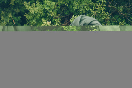 Green leaves background. Green leaves background. Green leaves background. Green leaves background.の素材