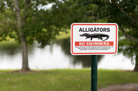 Alligator warning sign in Florida for awareness of imminent danger. Sharp focus isolated to sign for dramatic impact.の写真素材