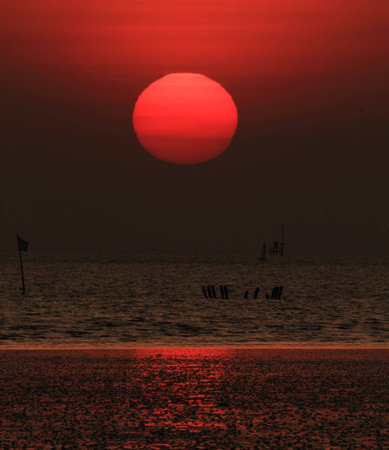 the sunの写真素材