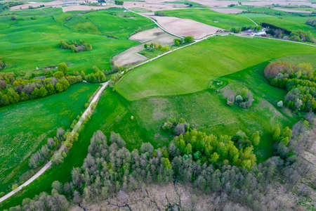 Rural landscape, view from the drone. Green fields in the north of Poland. SuwaÅki region in spring.の写真素材
