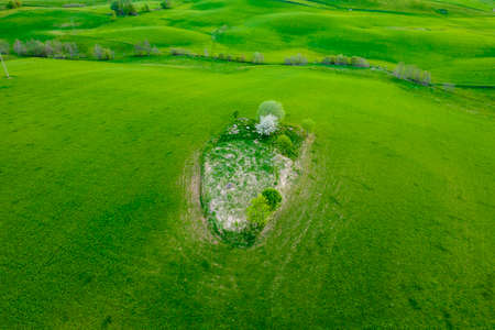 Rural landscape, view from the drone. Green fields in the north of Poland. SuwaÅki region in spring.の写真素材