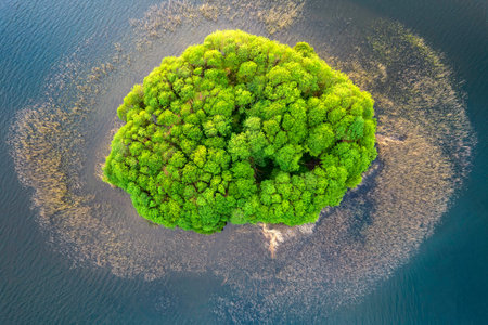 View from the top of Wierzchowo lake in Poland. Green forest surrounding the lake and clear blue...