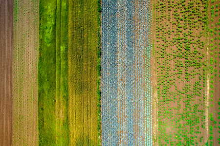 Colorful farmland seen from above, the agricultural landscape of the Polish countryside.