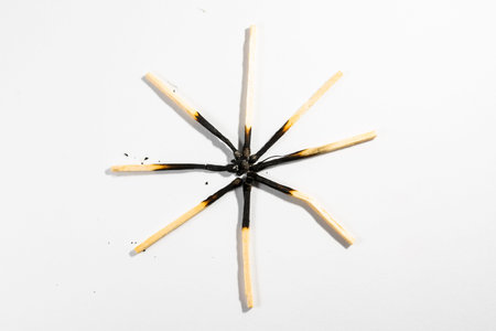 Match Stick Macro Detail Fire Symbol Safety White Isolated Background Charred Used Burned Burnt Black Wood Row Single Campfireの写真素材
