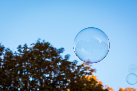 Single Round Circular Soap Bubble Blue Sky Nature Background Orange Tree Autumn Seasonal Floating Air Shinyの写真素材