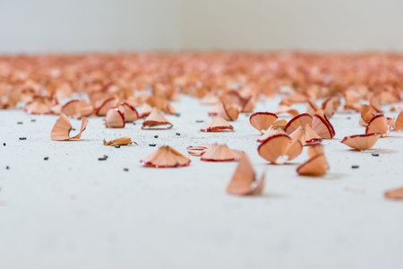 Red Pencil Shavings Closeup Texture Background White Pieces Dust Art Drawing Piecesの写真素材