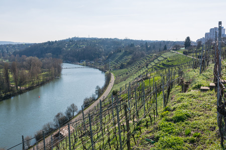 European River Max Eyth See Stuttgart Vineyards Sunny Landscape Beautiful Idyllic Blue Skies Clear Weather Green Slopes Mountains Waterの写真素材