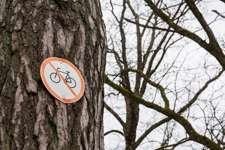 No Bicycle Sign Tree Pinned Bark Park Path Red Whiteの写真素材