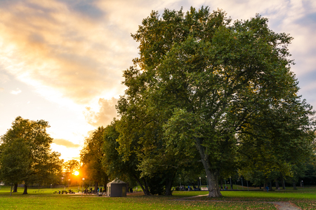 Sunset Sun Flare Autumn Fall Green Yellow Fiery Sky Park Forest Landscape Seasonの写真素材
